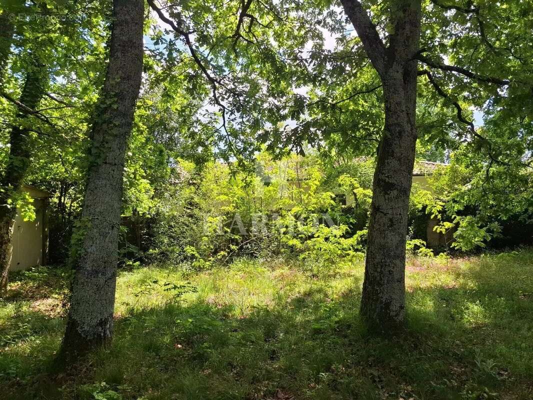 Terrain à GUJAN-MESTRAS