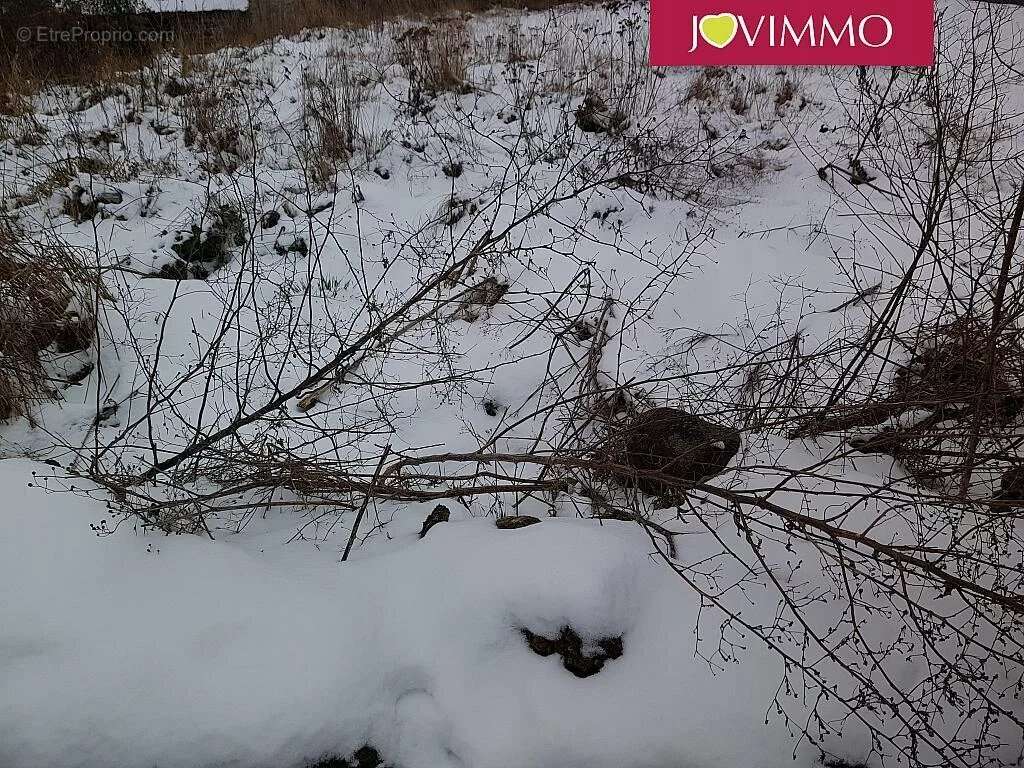 Terrain à SAINT-PIERRE-ROCHE