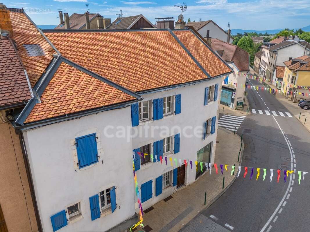Maison à vendre 10 pièces GEX (01) - photo 5