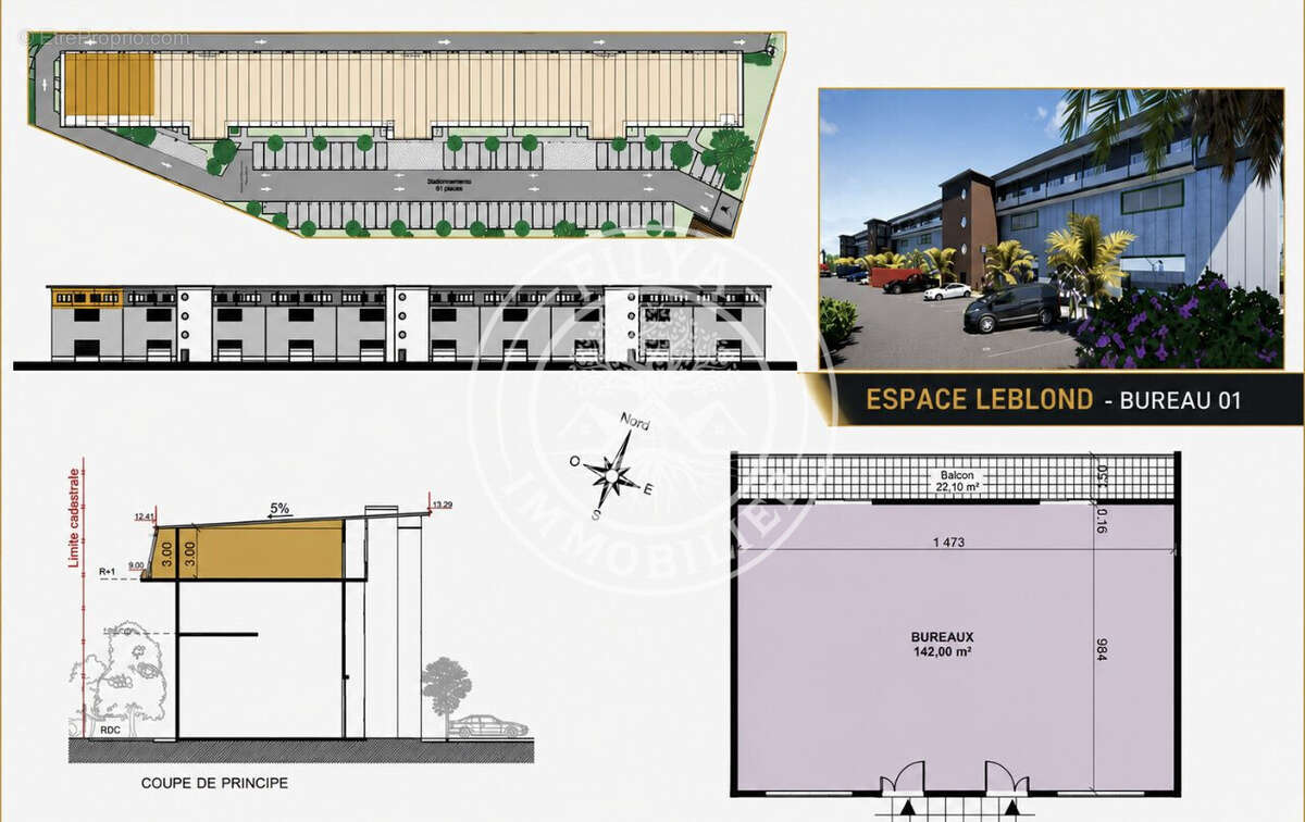 Commerce 142 m² à Cayenne  - photo 4