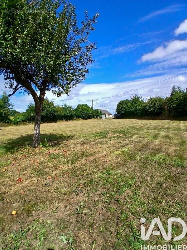 Photo 3 - Terrain à SAINT-MARTIN-SAINT-FIRMIN