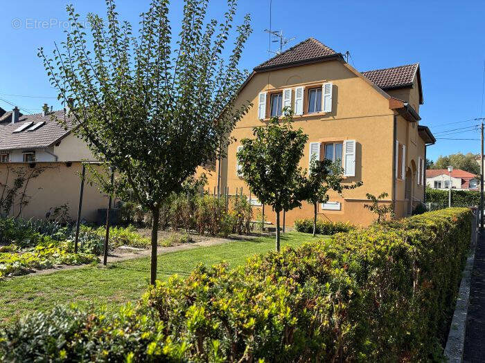 Maison à BOLLWILLER