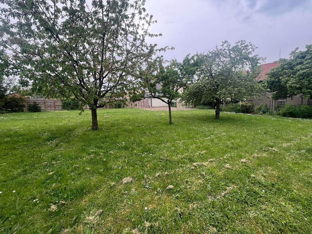 Terrain Merxheim 500 m2 - photo 2