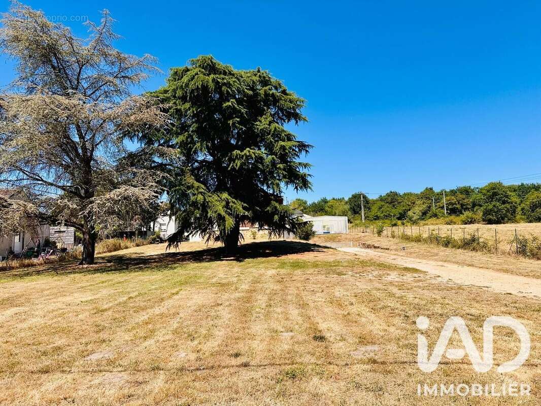 Maison 80 m² à Chatres-Sur-Cher  - photo 6