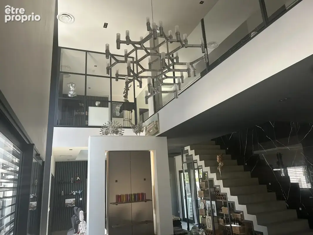Maison 5 pièces 294 m² à vendre à Les Cheres (69380) - photo 4