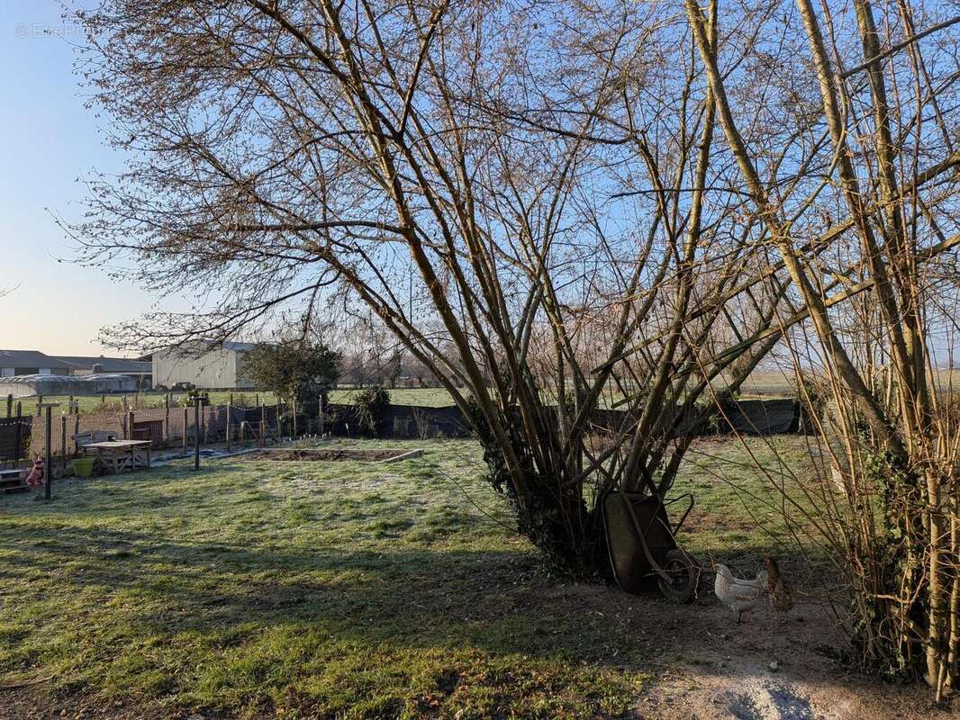 Photo 8 - Maison à MONT-BERNANCHON