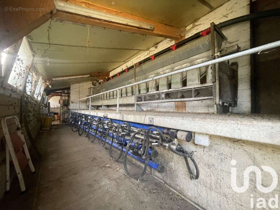 Photo 6 - Terrain à SAINT-LAURENT-D&#039;OLT