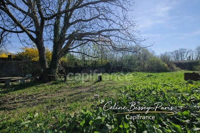 Maison 5 Pièces, 4 chambres, 994M2 de terrain MIGENNES (89) - photo 4