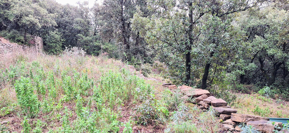 Terrain à FAUGERES
