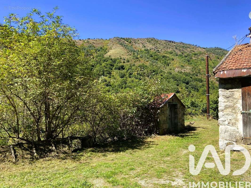 Photo 5 - Maison à MONTSELGUES