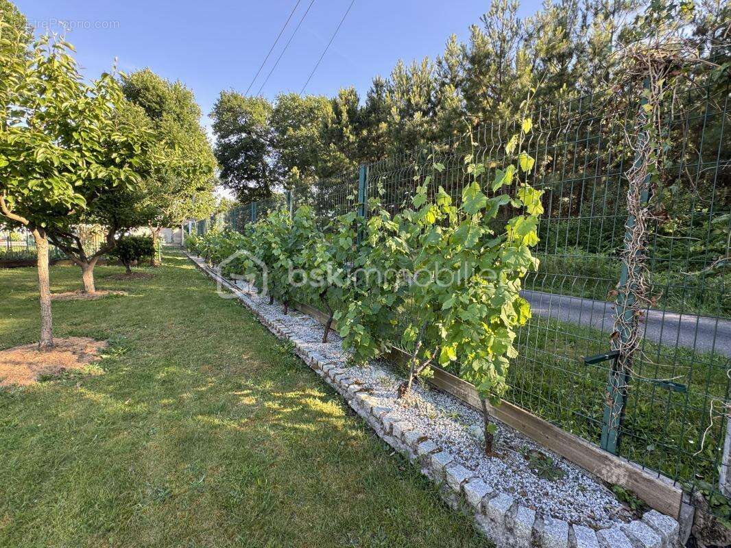 Magnifique propriete de 370m² - photo 23