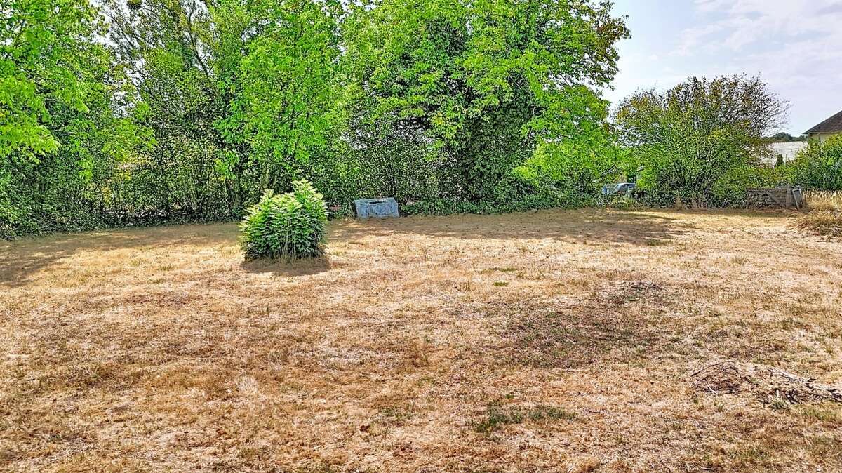 Terrain à vendre de 950,00 m² VERS SOUS SELLIERES (39) - photo 3