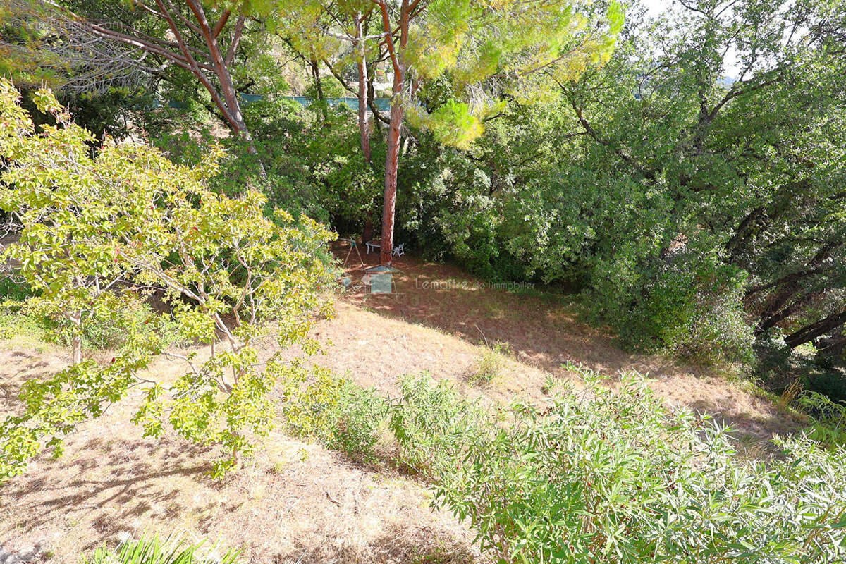 Maison 150 m² avec jardin de 1600 m² Spéracèdes - photo 6