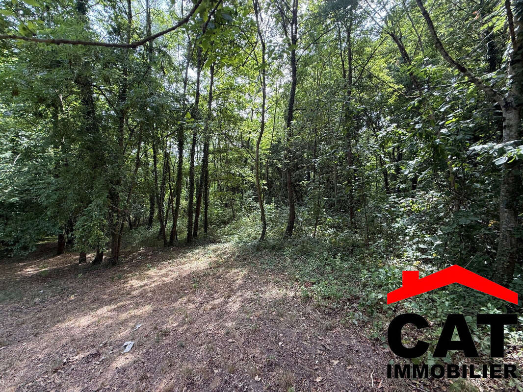 Terrain 3785 m² à Vernou-La-Celle-Sur-Seine  - photo 4