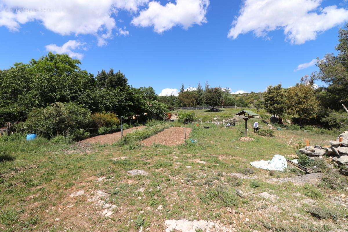 A vendre propriete de 8 hectares  au coeur du  minervois (34) - photo 11