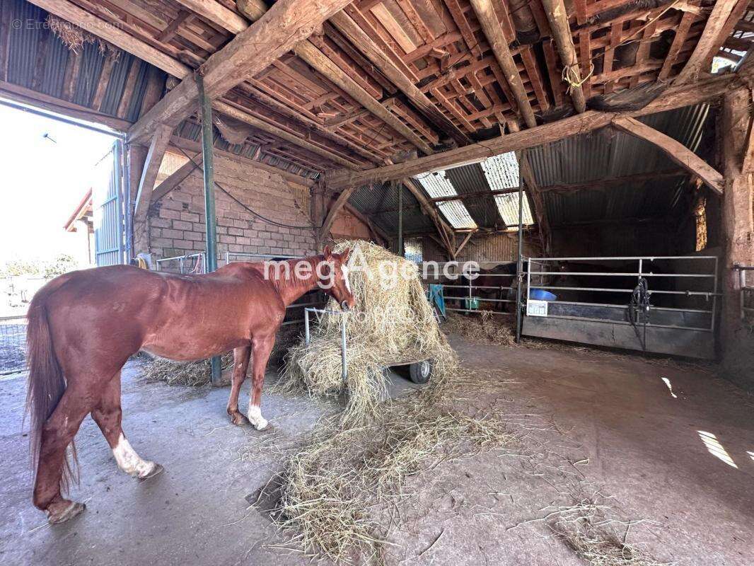 Maison à THORIGNY-SUR-OREUSE