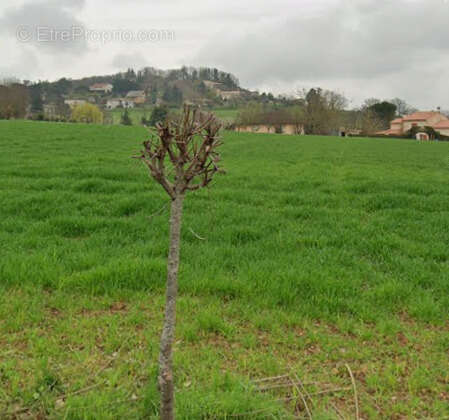 Terrain à ALBI