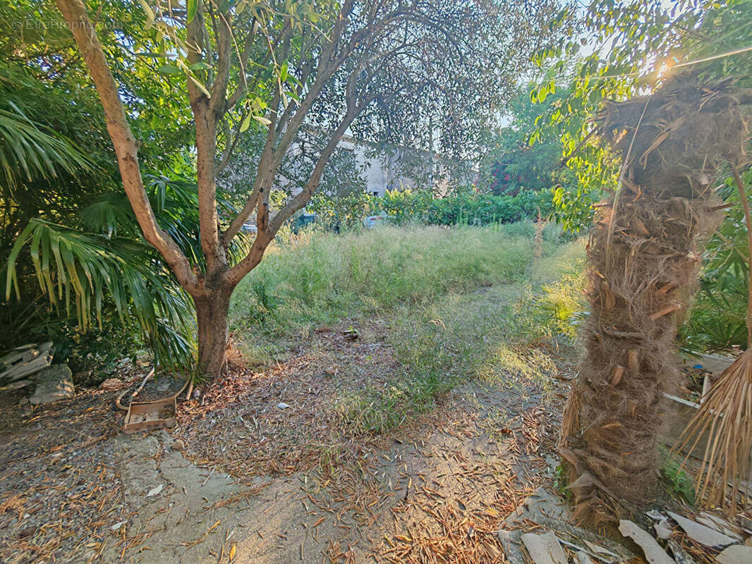 Maison à CANET