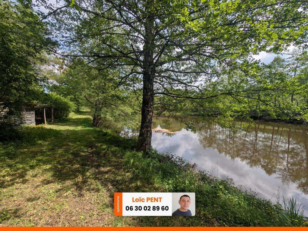 Etang à vendre sur un terrain de 26 033,00 m² LE MAYET DE MONTAGNE (03250) - photo 2