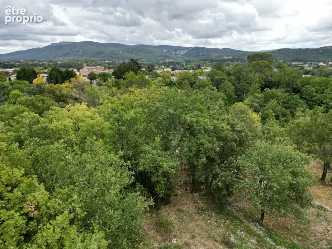 Terrain 8 000 m² à vendre à Ganges (34190) - photo 2
