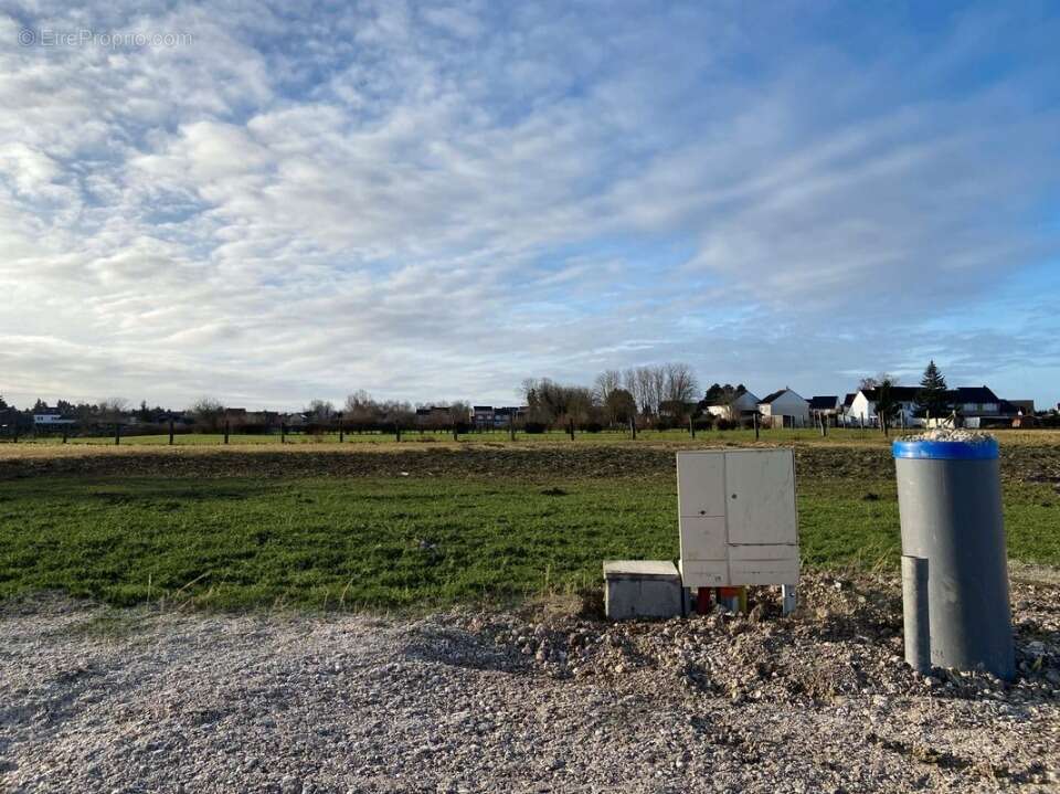 Terrain à MAZINGARBE