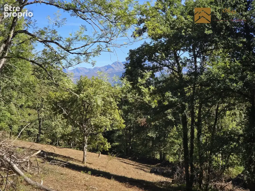 Terrain 10 152 m² à vendre à Salles (65400) - photo 5