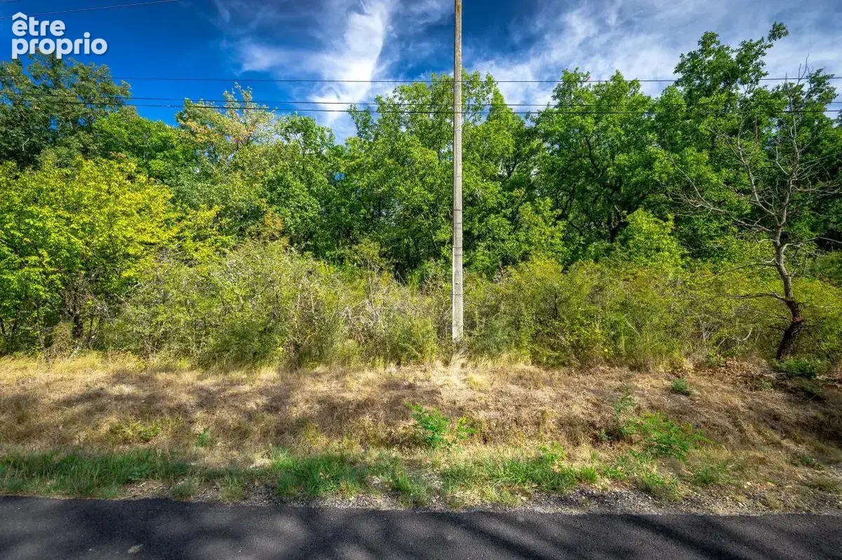 Terrain - 26 610 m² - Aussonne (31) - photo 3