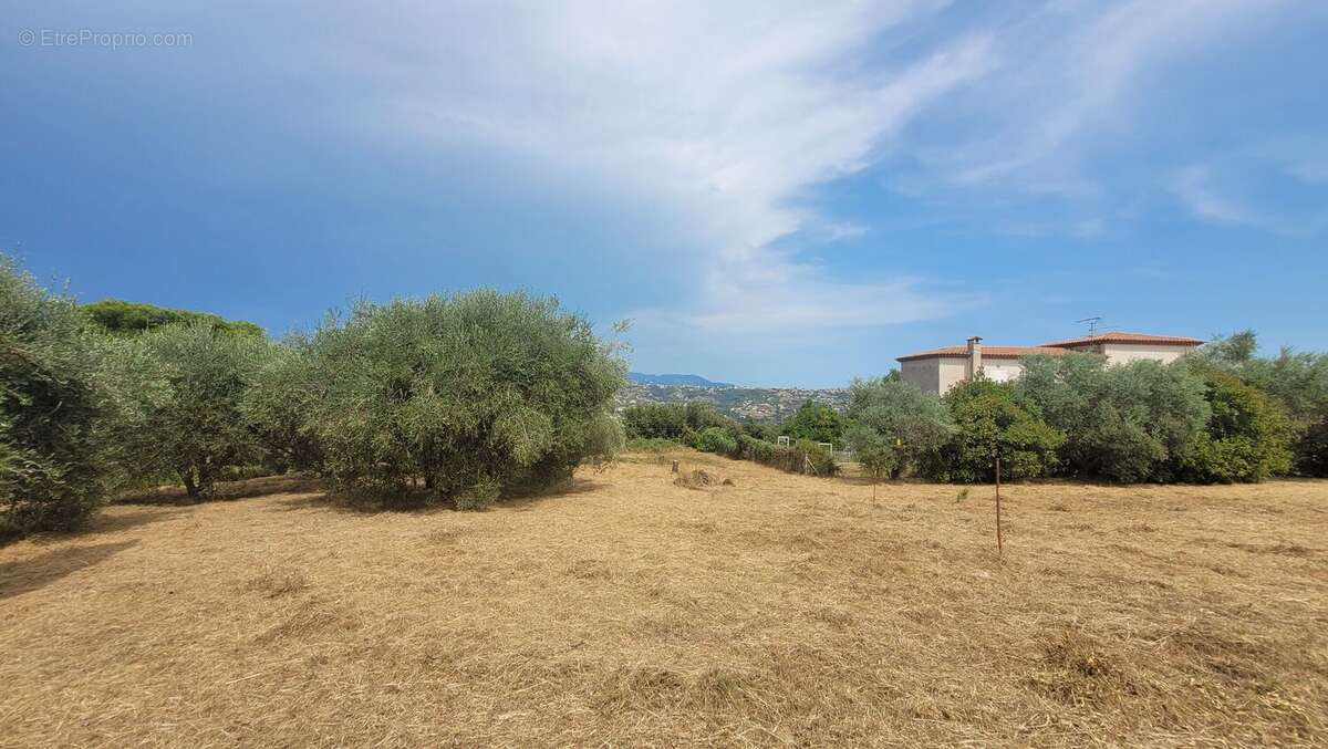 Photo 4 - Terrain à SAINT-LAURENT-DU-VAR