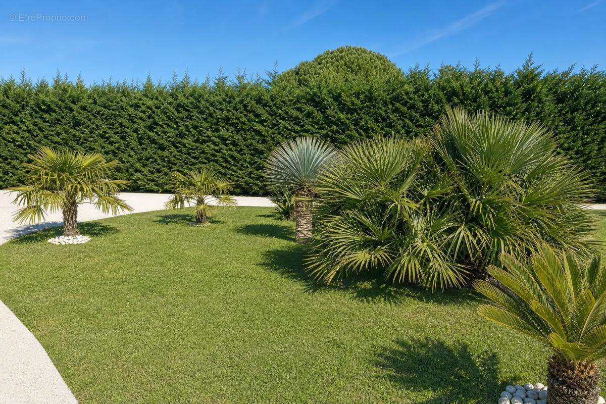 Maison d'exception de 307 m² avec piscine - photo 22