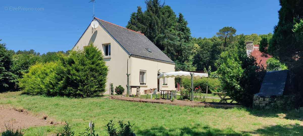 Propriété   Exploitation agricole - photo 2