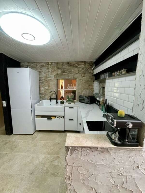 Maison à VIEILLEVIE