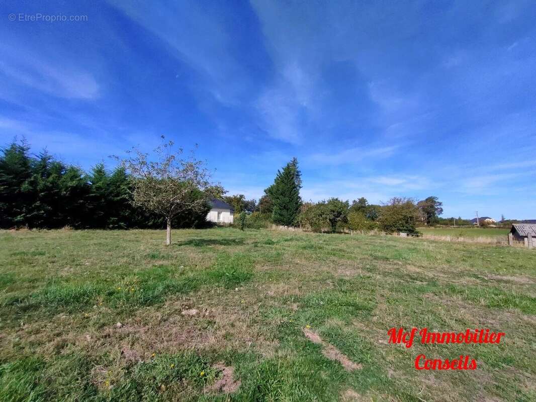 Terrain à COLOMBIES