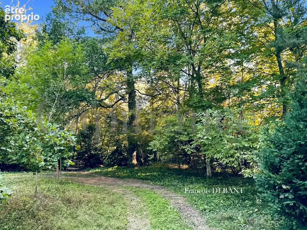 Terrain à vendre de 4 900,00 m² proche de REIMS (51) - photo 11