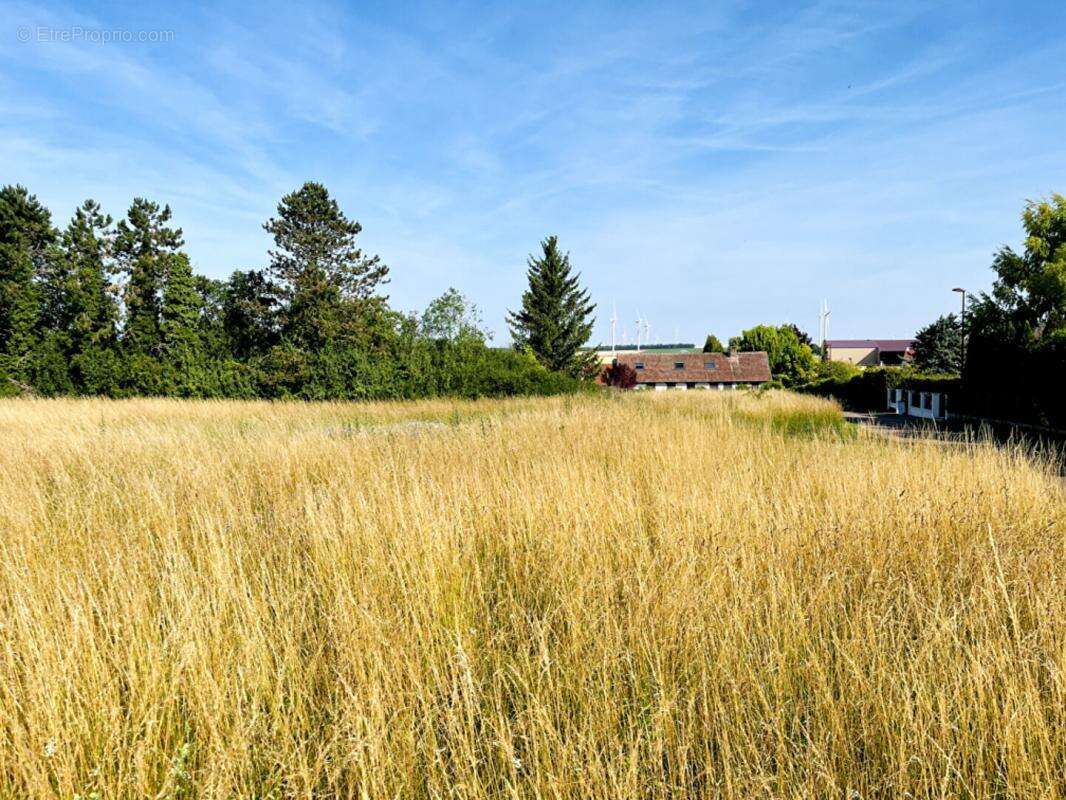 Terrain à LES GRANDES-CHAPELLES