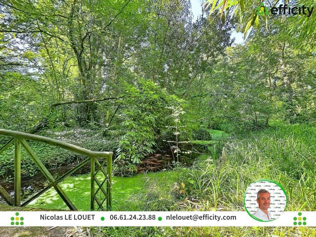 Appartement - photo 11