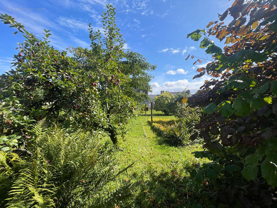 Maison à CHATEAUNEUF-DU-FAOU
