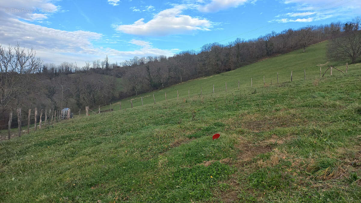 Terrain à SAINT-PALAIS