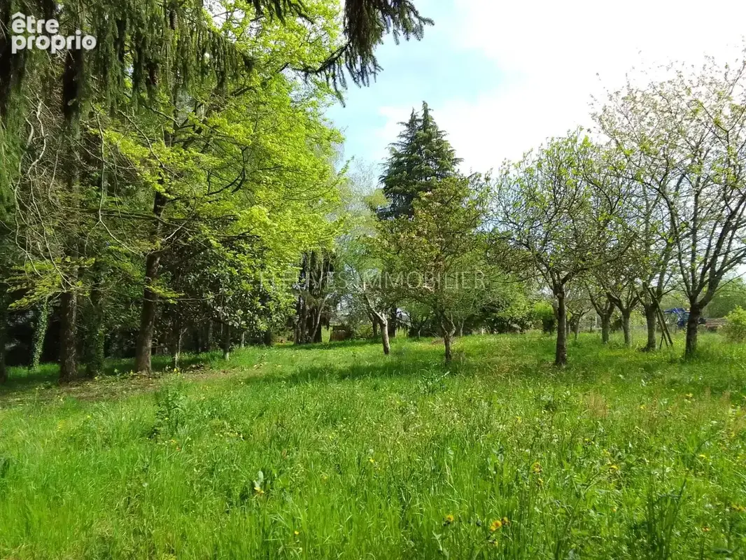 Maison 300 m² à Lucq-De-Bearn  - photo 7