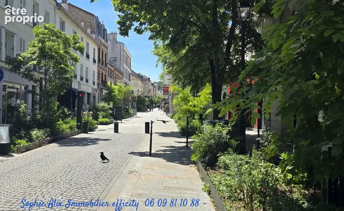 Commerces/Negoce - photo 3