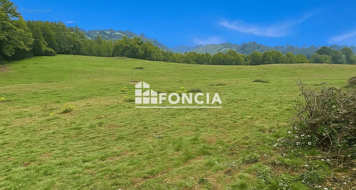 Terrain à SAINT-AMANS-VALTORET