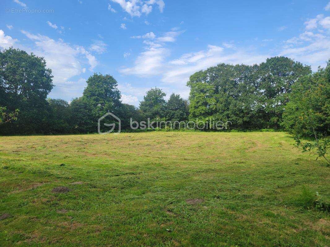 Maison avec 22 772 m² de terrain - calme absolu - sans vis-à-vis - photo 4