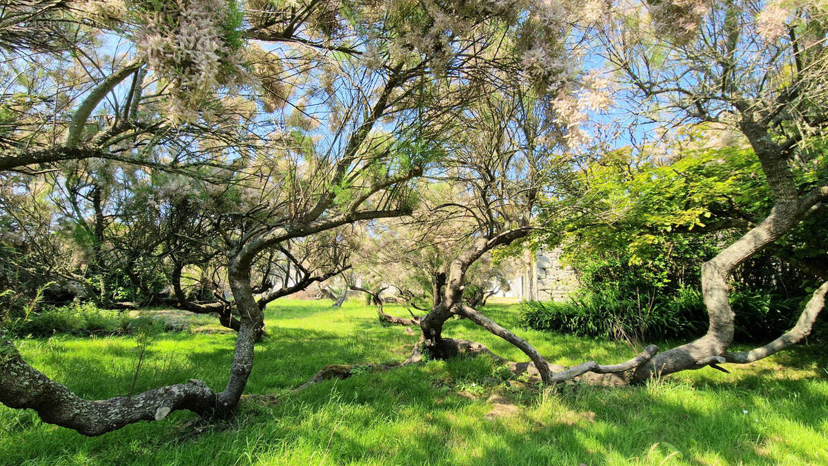 Maison à GATTEVILLE-LE-PHARE