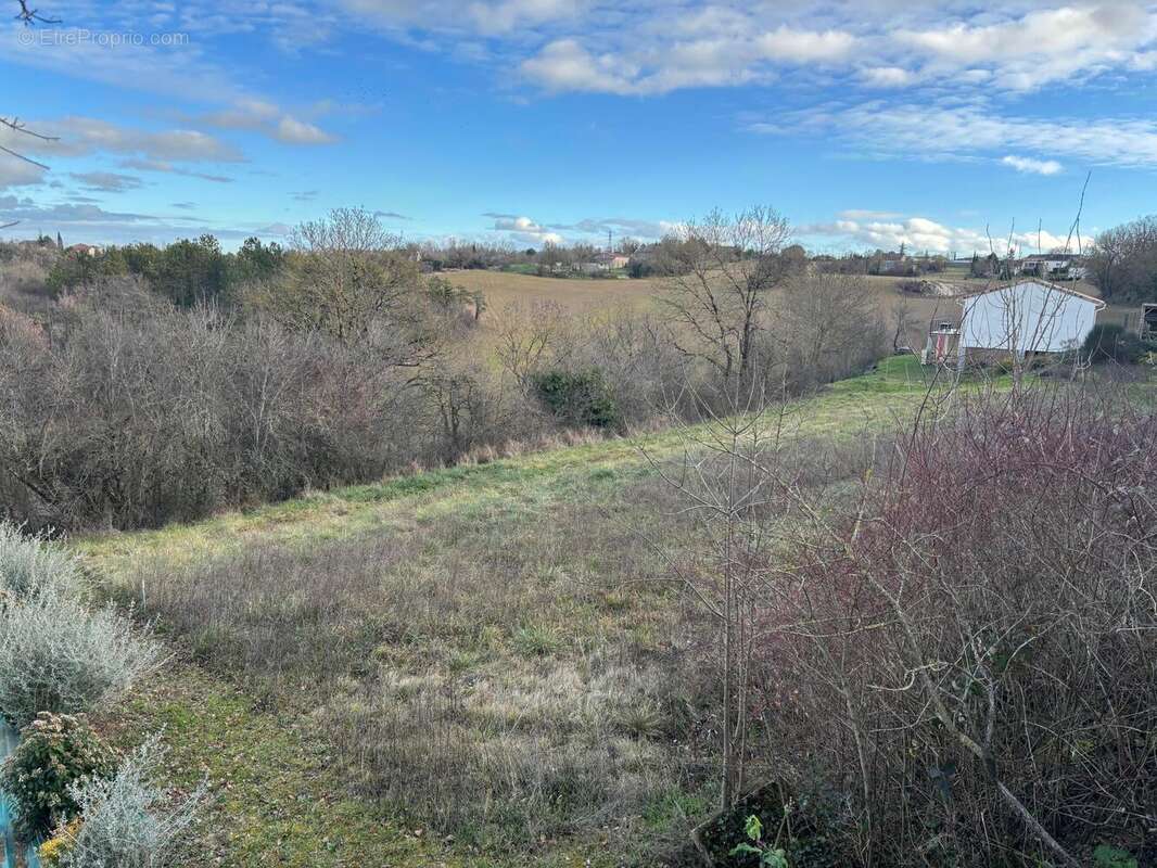 Photo 3 - Terrain à LABASTIDE-GABAUSSE