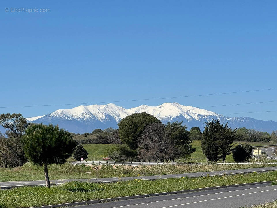 Terrain à PERPIGNAN