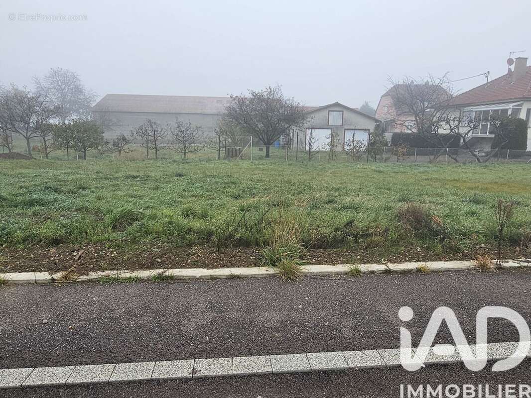 Photo 3 - Terrain à OBERHERGHEIM