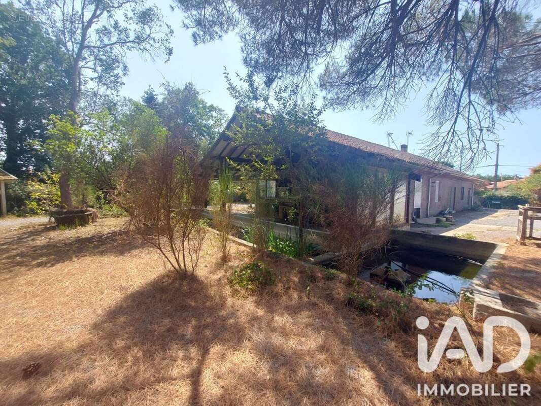 Maison 50 m² à Lanton  - photo 3