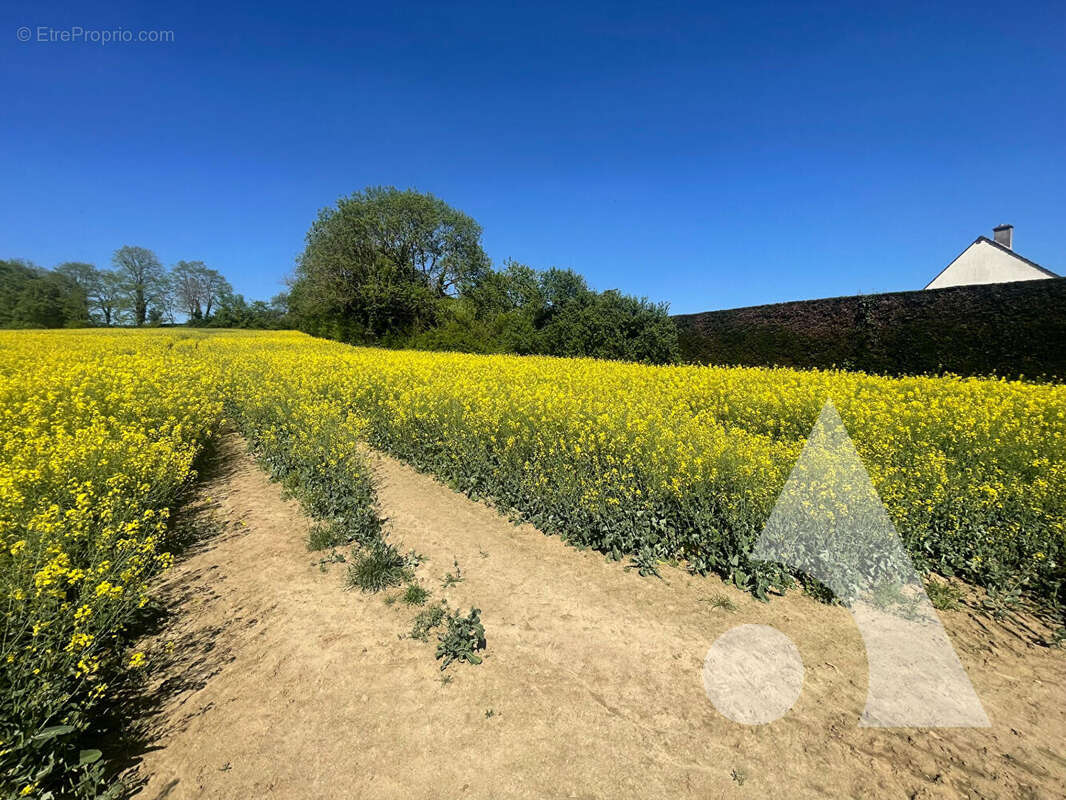 Terrain à CREPY-EN-VALOIS