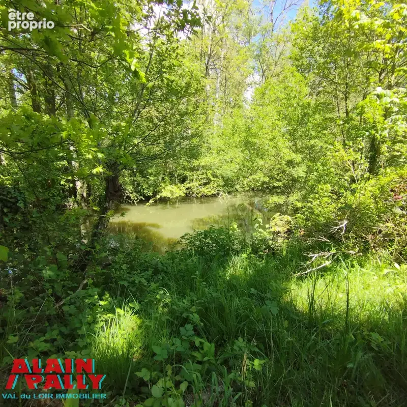 Terrain bord de loir - photo 7