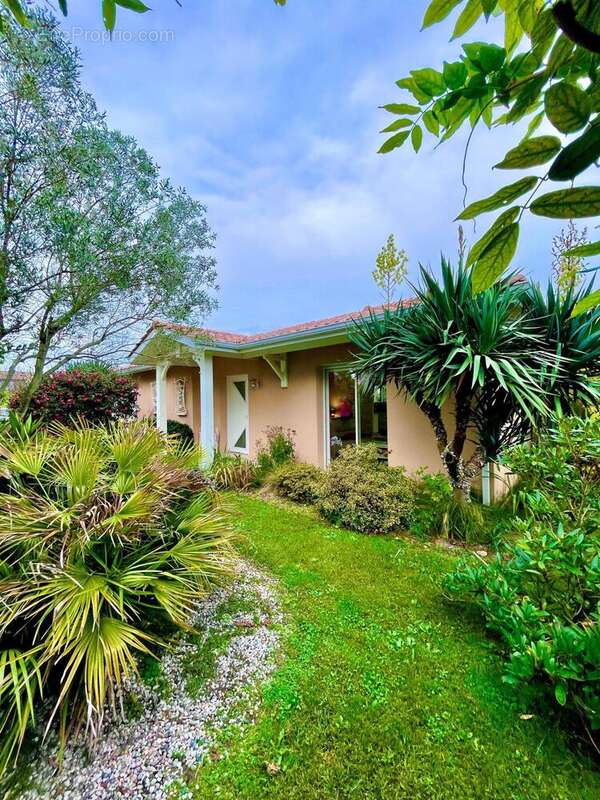 Photo 7 - Maison à LA TESTE-DE-BUCH