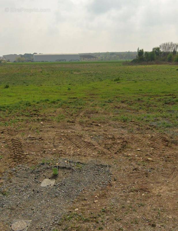 Terrain à FERRIERES